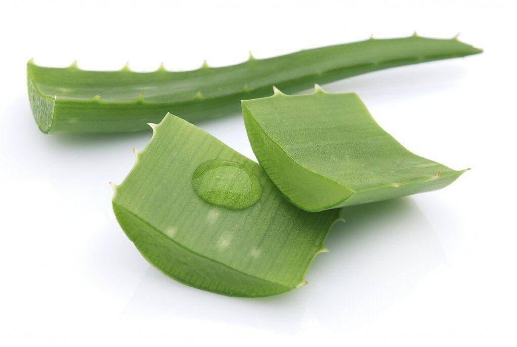 aloe para el tratamiento de la osteocondrosis torácica
